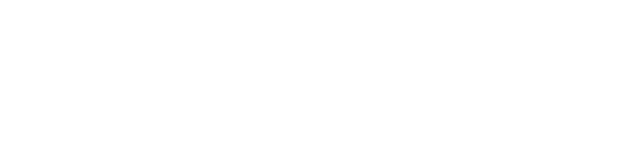 AI Nation